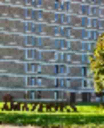 Amazones