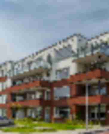 https://www.vaanster.nl/assets/uploads/images/Kesteren_-_Veiling-2_930_580_s_c1.jpg