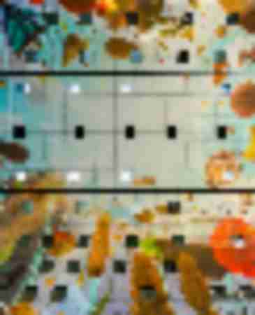 Markthal